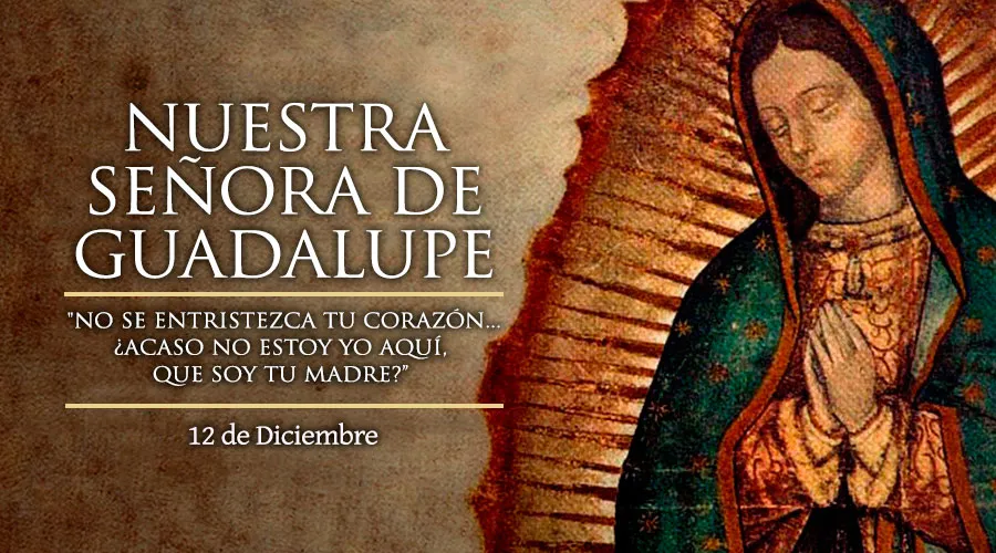 Cada 12 de diciembre se celebra a la Virgen de Guadalupe, la Madre Buena que nos deja una tarea