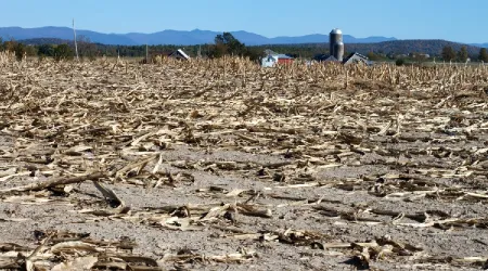 La Iglesia llama a tomar medidas ante la sequía extrema en Argentina