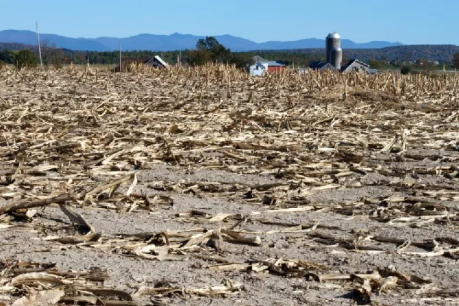La Iglesia llama a tomar medidas ante la sequía extrema en Argentina