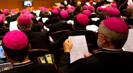 Cardenal Sarah critica que usen Sínodo Amazónico para planes ideológicos