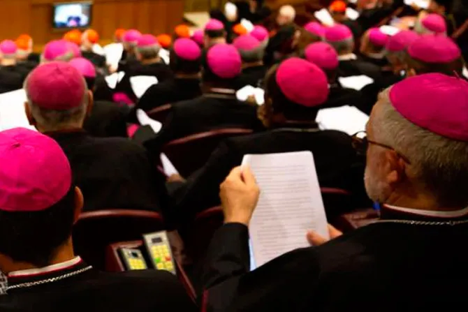 Cardenal Sarah critica que usen Sínodo Amazónico para planes ideológicos