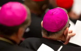 Foto referencial. Obispos reunidos en el Vaticano. Foto: Daniel Ibáñez / ACI Prensa 