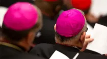 Foto referencial. Obispos reunidos en el Vaticano. Foto: Daniel Ibáñez / ACI Prensa
