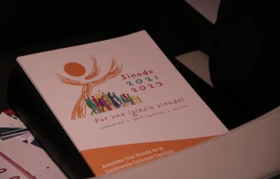 Materiales de la Asamblea Final Sinodal en Espau00f1a. Cru00e9dito: Conferencia Episcopal Espau00f1ola 