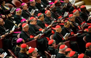 Los obispos en el Aula del Sínodo. Foto: Mazur / catholicnews.org.uk 