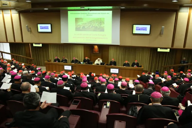 Papa Francisco ratifica nuevos miembros para Sínodo de la Familia