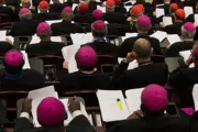 Obispos alemanes asisten a reunión privada en Roma sobre Sínodo de la Amazonía