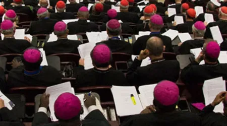 Obispos alemanes asisten a reunión privada en Roma sobre Sínodo de la Amazonía