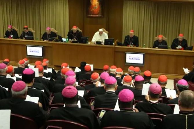 Rumbo del Sínodo lo marcan el Evangelio y el Papa, no los medios