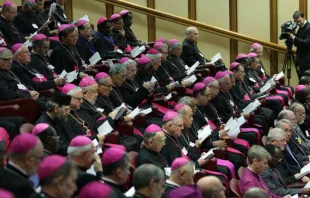 Los obispos en aula del Sínodo esta mañana. Foto Daniel Ibáñez / ACI Prensa  
