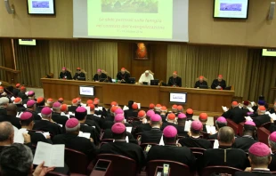 Su00ednodo de la Familia. Foto: Daniel Ibu00e1u00f1ez / ACI Prensa 