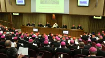 Sínodo de los obispos (Foto referencial) / Imagen: Daniel Ibáñez (ACI Prensa)