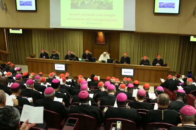 Sínodo de Obispos concluye primera parte y espera la segunda que será decisiva