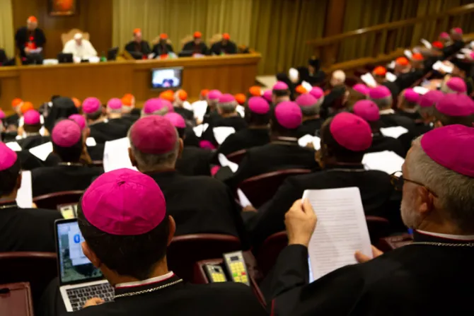 ¿Cómo funciona el Sínodo de los Obispos sobre los jóvenes?