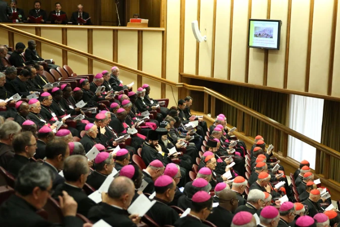 Próximo Sínodo tratará sobre vocación y misión de la familia en la actualidad