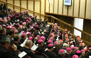 Sínodo de los Obispos sobre la Familia. Foto: Daniel Ibáñez / ACI Prensa 