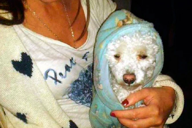 Argentina: Roban casa de familiares del Papa Francisco