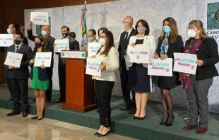 Cru00e9dito: Cortesu00eda Frente Nacional por la Familia. 