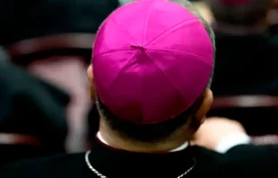 Foto referencial de obispo. Cru00e9dito: Daniel Ibu00e1u00f1ez / ACI Prensa 