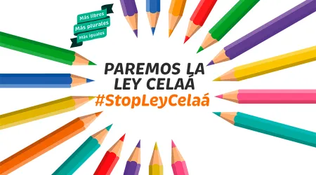 España: Lanzan importante campaña contra agresiva ley de educación
