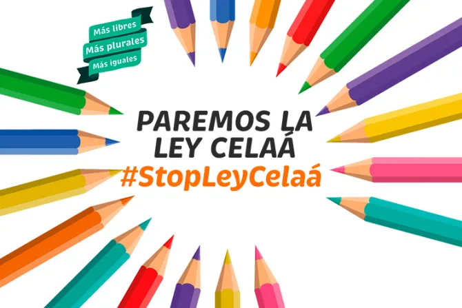 España: Lanzan importante campaña contra agresiva ley de educación