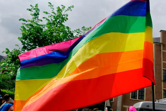 Obispo pide reconocer que “subcultura homosexual” es una de las causas de abusos en Iglesia