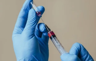 Imagen referencial / Cru00e9dito: Pexels 