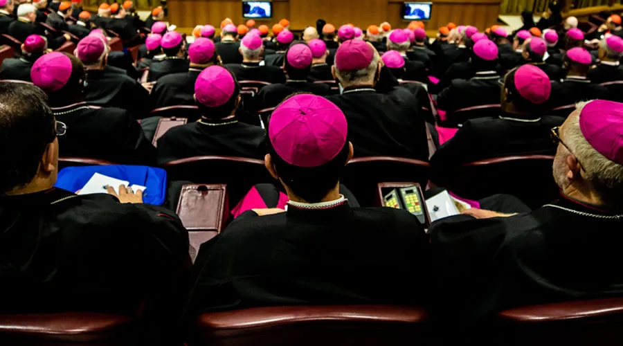 Los obispos en el aula del Sínodo en el Vaticano. Foto: Daniel Ibáñez / ACI Prensa