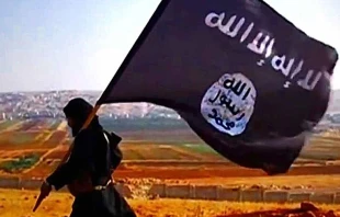 Miembro del Estado Islu00e1mico / Foto: Wikipedia (Dominio Pu00fablico) 