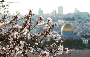 Tierra Santa. Cru00e9dito: Blanca Ruiz/ ACI Prensa 
