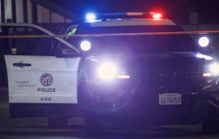 Foto referencial. Cru00e9dito: Shutterstock 