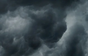 Imagen referencial. Cru00e9dito: Anandu Vinod / Unsplash. 