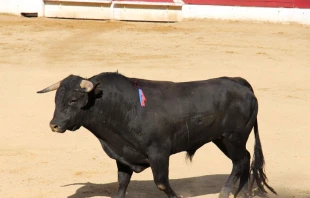 Foto referencial. Cru00e9dito: Pixabay 