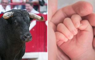 Imagen referencial. Cru00e9dito: Pixabay / Unsplash. 