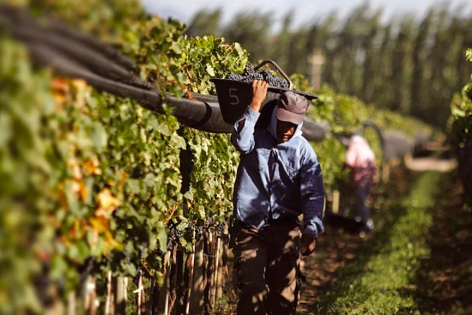 Obispos argentinos se solidarizan con desempleados y piden promover trabajos dignos
