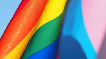 Gobierno español pretende habilitar casilla en documento de identidad para transexuales