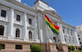 Imagen referencial. Cru00e9dito: Tribunal Supremo de Justicia de Bolivia 