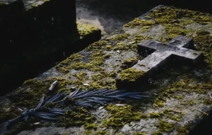 Imagen referencial. Cru00e9dito: Kenny Orr / Unsplash. 