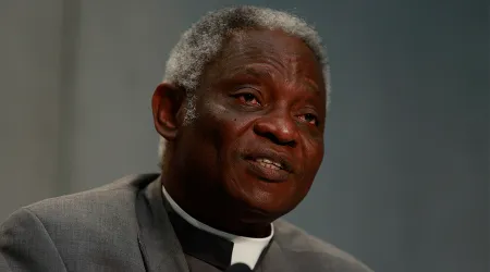 Cardenal Turkson: El racismo aleja a algunos jóvenes católicos africanos de la Iglesia 