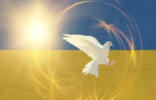 Imagen referencial. Cru00e9dito: Enrique Lorca/Pixabay 