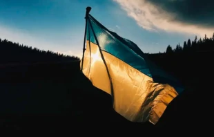 Bandera de Ucrania. Cru00e9dito: Max Kukurudziak / Unsplash 