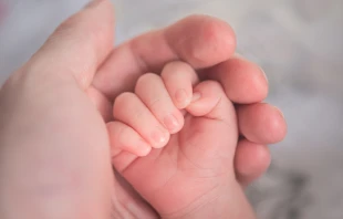 Imagen referencial / Cru00e9dito: Unsplash  