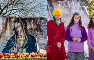 Entrega masiva de rosas al Capitol Hill. Cru00e9ditos: Instituto Benedicto XVI 