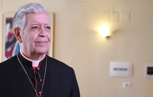 Cardenal Jorge Urosa. Foto Petrik Bohumil / ACI Prensa 