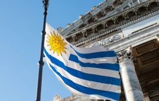 Imagen referencial. Cru00e9dito: Alexmilesi/Shutterstock 