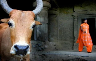 Foto referencial   /   Flickr - Ronan Shaw (CC-BY-NC-SA-2.0) 