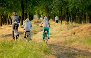 Imagen referencial Crédito: Kardinal- Pixabay (Dominio Público)