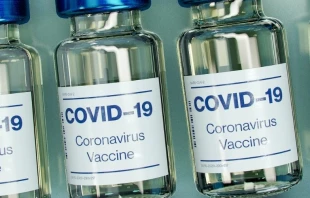 Imagen referencial. Cru00e9dito: Daniel Schludi / Unsplash. 