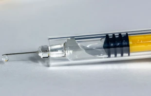 Foto referencial. Cru00e9dito: Pixabay 