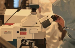 Imagen referencial / Cru00e9dito: Unsplash  